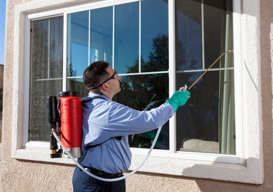 Pest Control Diamond Bar