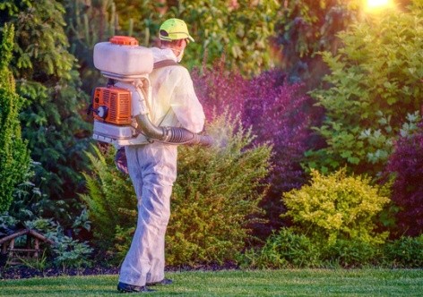 Pest Control Mansfield