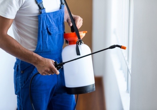 Pest Control Northridge