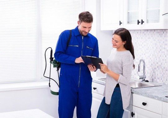 Pest Control Port Arthur