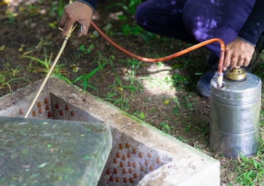 Pest Control Bristol