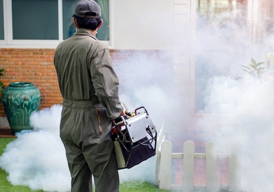Pest Control Ellicott City