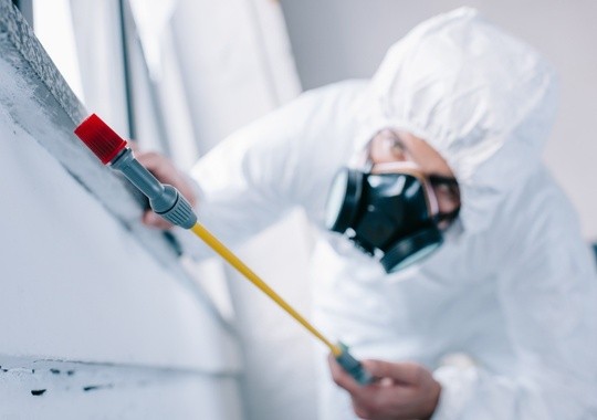 Pest Control Lorain