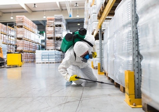 Pest Control Port Orange