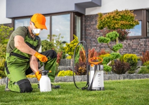 Pest Control Tonawanda