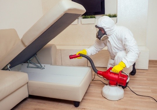 Pest Control Portland