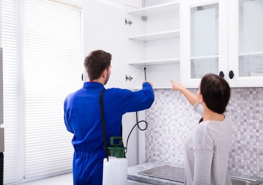 Pest Control San Clemente