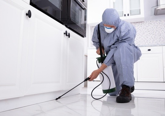 Pest Control Euless