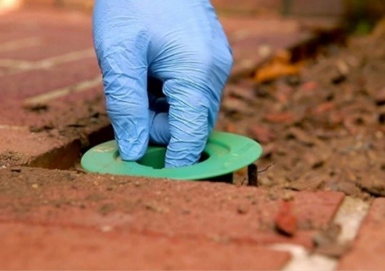 Pest Control Smyrna