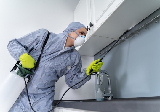 Pest Control Rosemead