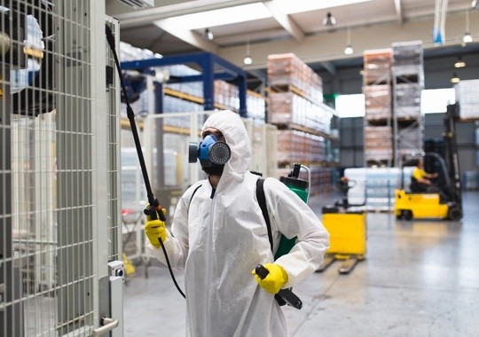Pest Control Waterloo