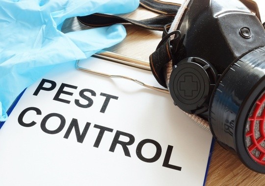Pest Control Eau Claire