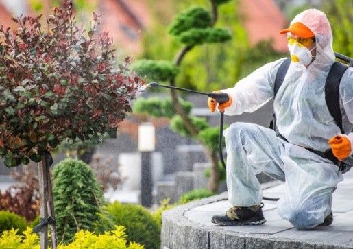 Pest Control Grapevine