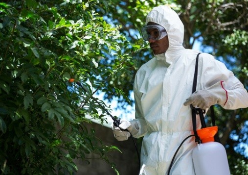 Pest Control Santee